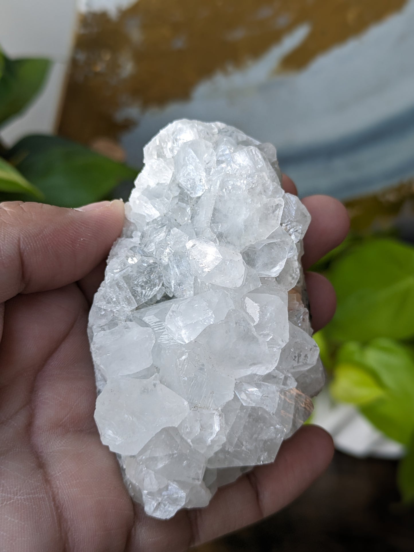 Apophyllite Cluster